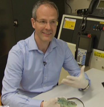 Geneva researchers break the secret of the colors of lizards