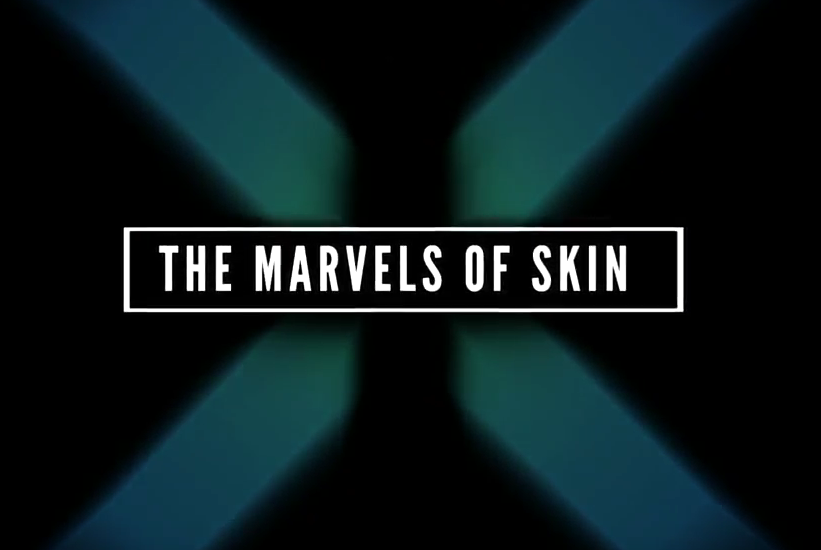 The Marvel of Skin