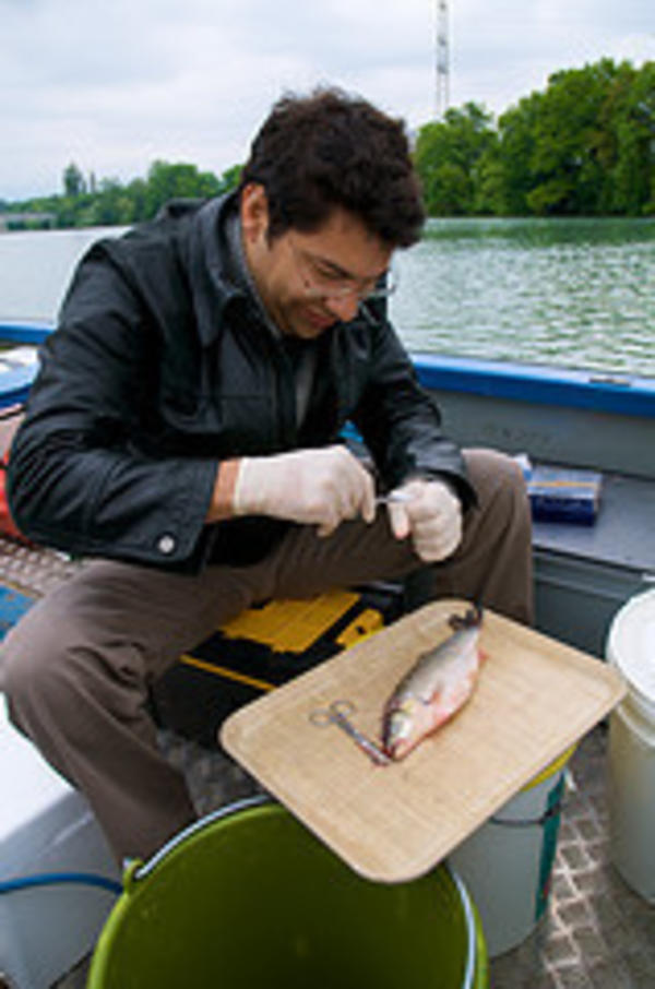 Juan Montoya's fishing trip on the Rhône
