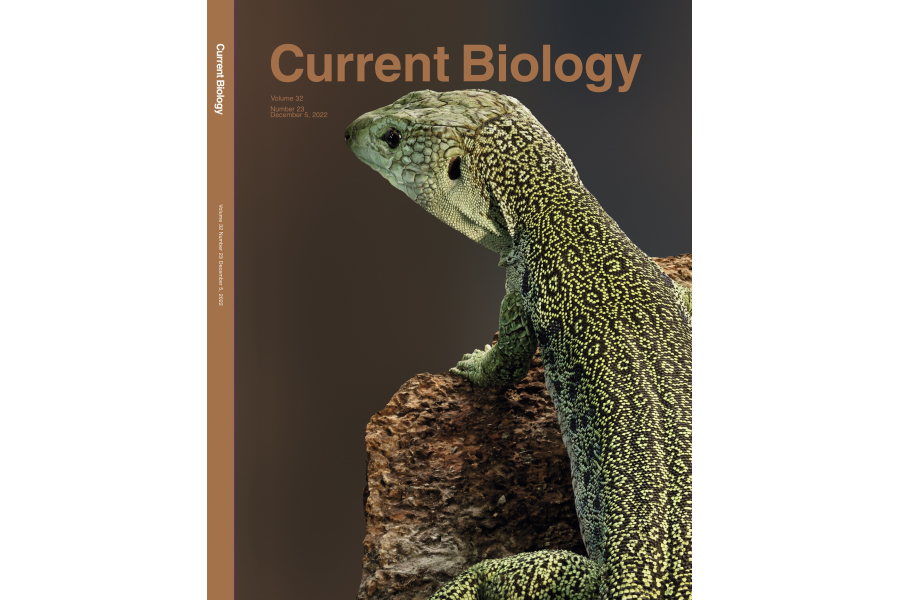 It makes the cover of Current Biology